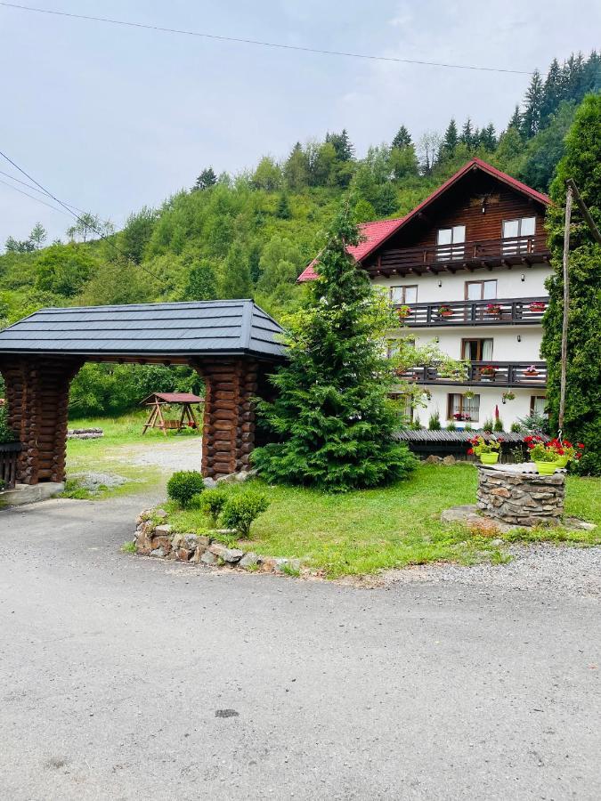 Pensiunea Pietrosul Hotel Borsa  Exterior photo